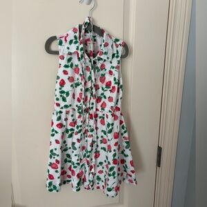 J Crew Strawberry Dress
